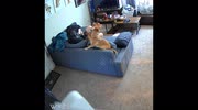 temp
