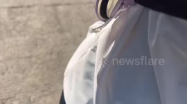 Pet cat pokes its paws out from backpack