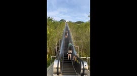 Auto Climbing: Tourist Showcases Ascending to Scenic Heights by Elevator in China