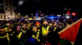 Police and Palestine supporters clash outside Parliament in London
