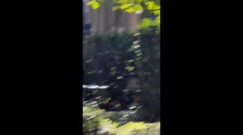 UFO Caught on Camera While Viewing Solar Eclipse