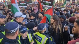 Palestine: Police struggle with crowds outside Downing Street as arrest of protester is made at solidarity demo