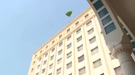 Arab League chief, German FM discuss Gaza developments