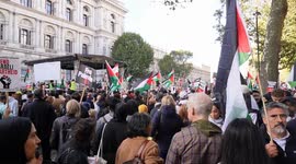 Pro Palestine protesters at whitehall