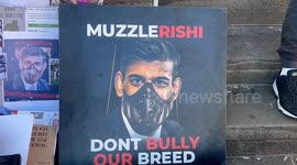 A group of animal lovers and seized dog owners hold protest in Peterborough, UK