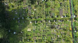 'Most sought after' allotments in the UK - where people wait years to get a chance to grow their own