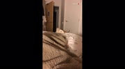 temp