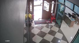 Wild monitor lizard casually crawls into office ignoring onlookers