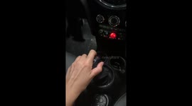 Weimaraner Isn't Ready For a Driving Lesson