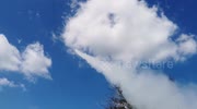 temp