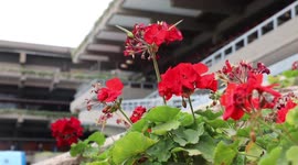 I will be looking as a salesman of Kenya and our region: Kenyan president