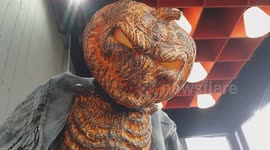 Halloween Decoration - Entrance to UK Petrol Station