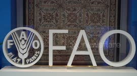 FAO marks World Food Day, calls for food security cooperation