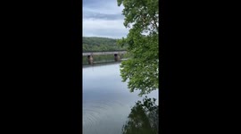 Belly flop daredevil: tree-top plunge in Lynchburg, Virginia