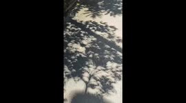 Enchanting solar eclipse shadows in Cancún, Quintana Roo