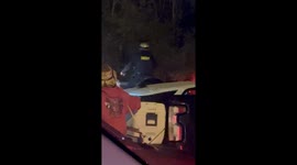 Lady Clashes with Police Horse After Jelly Roll Concert