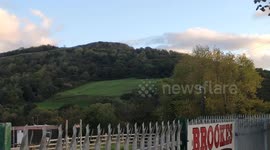 'Black panther' spotted in field - in Wales