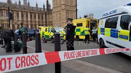 Emergency services called to Westminster after TV Star 'Tony Husband has fatal heart attack'