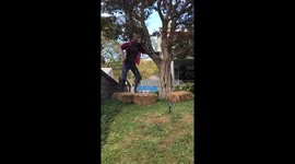 Halloween scary decorations with large skeletons huge spider and gravestones