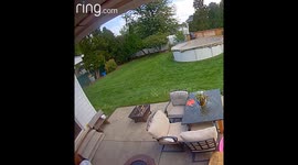 Husband Hits Head On Hanging Planter