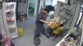 Pet cat walks into fridge without owner noticing... then closes door