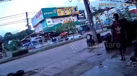 Aggressive cat chases away pet dog outside shop