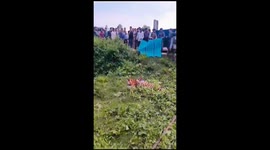 Furious 3 year old tigress  captured after she terrorized locals in the area in Pilibhit village