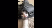 temp