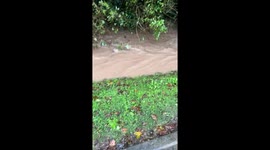 Chocolate deluge: Willy Wonka's factory mishap sends cocoa river through Bishopstown