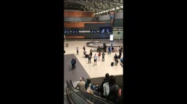 Florist Gump Romantic Airport Pickup