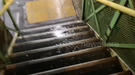 Heavy rain downpours in East London