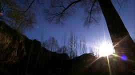 Intangible Cultural Heritage - Huanxian Daoqing Shadow Play.