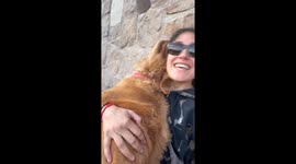 Basque shepherd dog thinks he is a puppy!