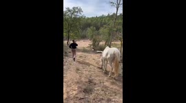Herd of white rescued horses reunited!