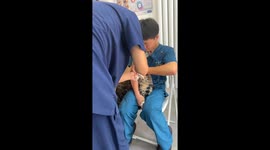 Cheeky Kitten Ambushes Its Nervous Fellow Having Vaccination While Pretending to Comfort it in China
