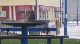 Dog walker battles elements as seafoam blown onto promenade by strong Storm Babet winds