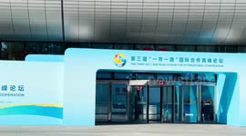 BRI's connectivity brings prosperity to world: former Turkish diplomat