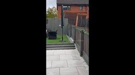 Magpie and rat's humorous garden shenanigans can't be ignored!