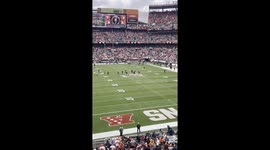 Dog Runs Around Cleveland Stadium