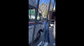 USPS worker goes on bizzare antisemitic rant