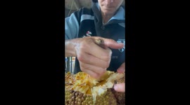 Hybrid Between A Jackfruit And A Cempadack