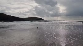 Devon Most beaches are open to dogs and there owners after September