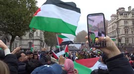 Palestine supporters wave huge flag of Palestine at massive protest in central London