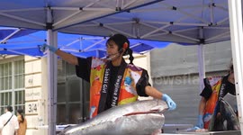 Cutting tuna during 2023 Japanese Food Expo in New York, NY, USA