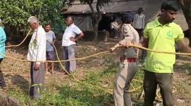 Forest officials rescue leopard after it fell into well while searching for food in Gungawada, India