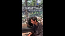 Unique encounter: man engages in conversation with Yaki monkey
