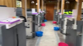 Ocean activist saves 1,000 seals off Britain - and even built them a hospital