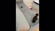 temp