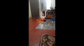 1.5-year-old's surprise kitchen paint party: a tired parent's shock