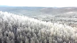 Chinese city transforms into breathtaking winter wonderland with ice-covered trees